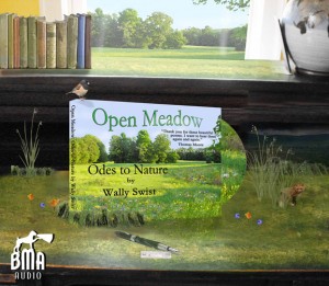 Open Meadow